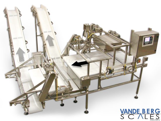 Loin Sortation System with inclined takeaway conveyors.